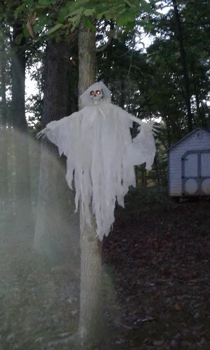 Cedar Mountain Campground Picture 4