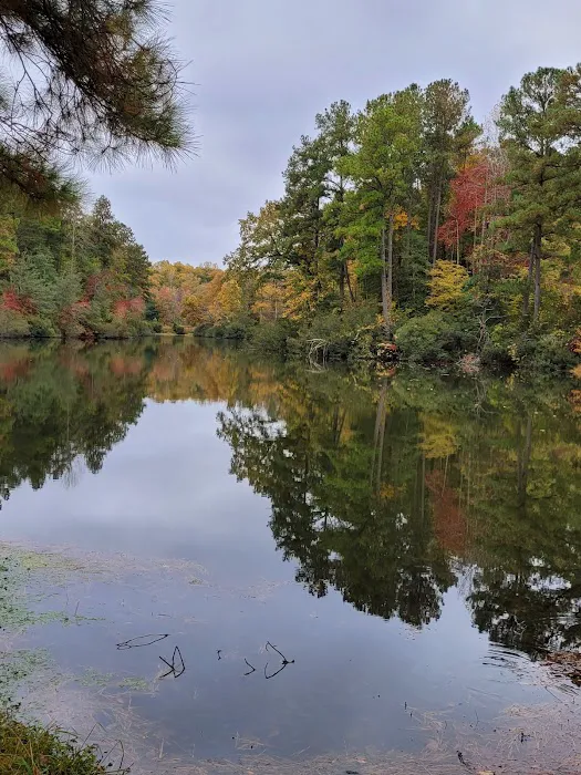 Chesapeake Bay RV Resort Picture 10