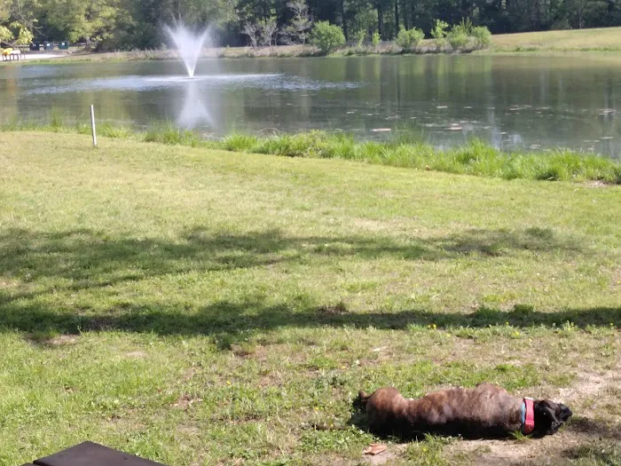 Chesapeake Bay RV Resort Picture 6