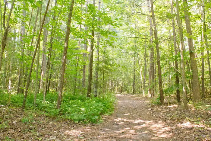 Thousand Trails Chesapeake Bay Picture 2
