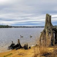 Thousand Trails Chesapeake Bay ico