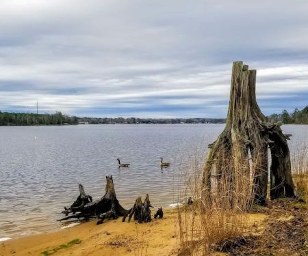 Thousand Trails Chesapeake Bay
