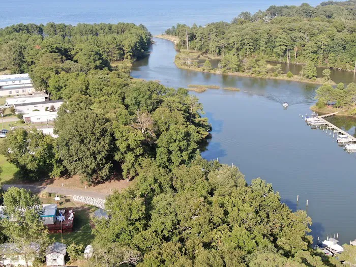 Bush Park Camping Resort Picture 8