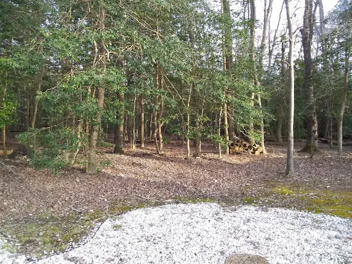 River Retreat Campground Picture 1