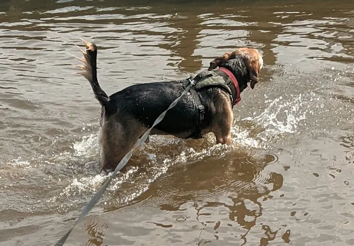 Rainbow Acres Campground Picture 9