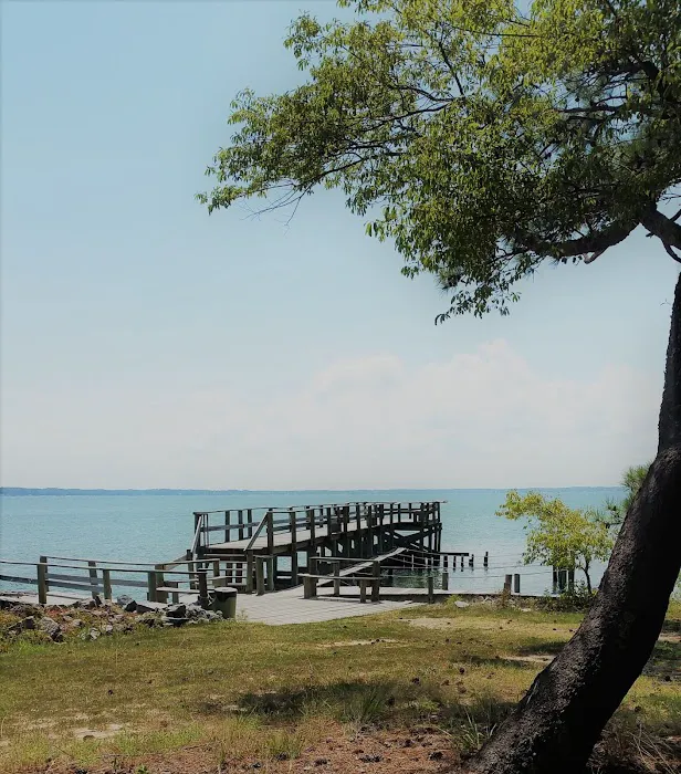 Cross Rip Campground Picture 7