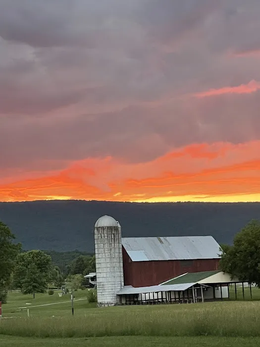 Lazy A Campground Picture 8