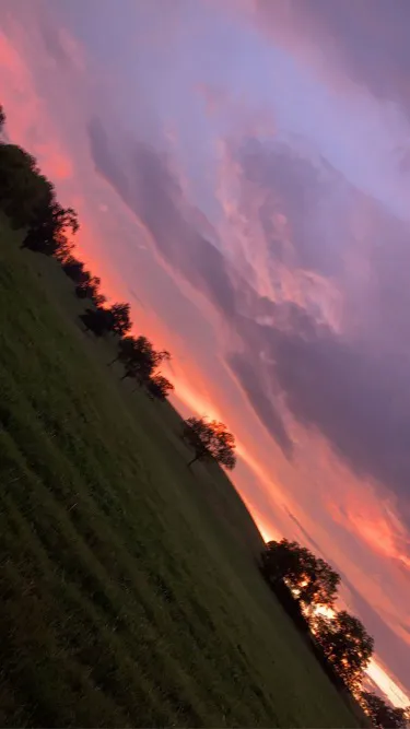 Mountainview RV Campground Picture 1