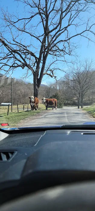 Mountainview RV Campground Picture 3