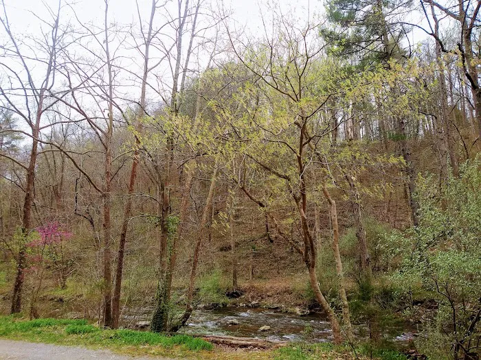 Gooney Creek Campgrounds Picture 4