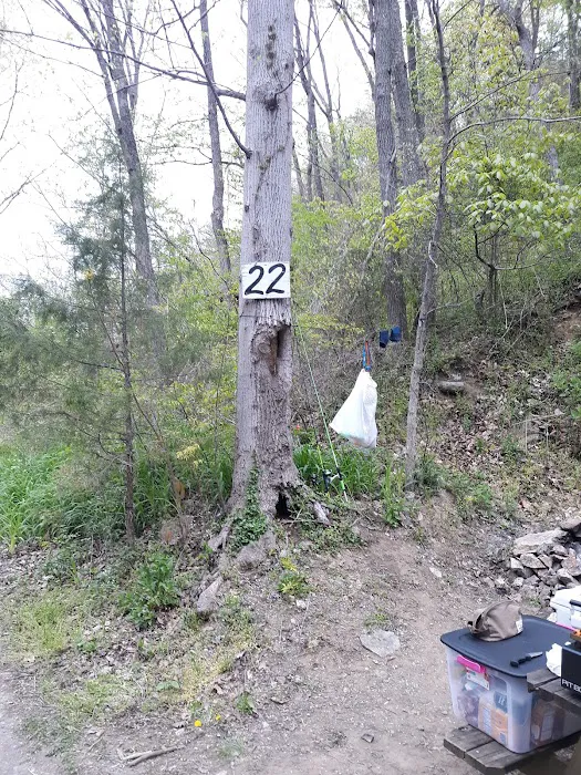 Gooney Creek Campgrounds Picture 2