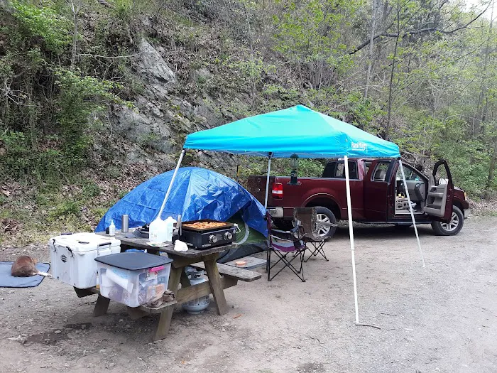 Gooney Creek Campgrounds Picture 9