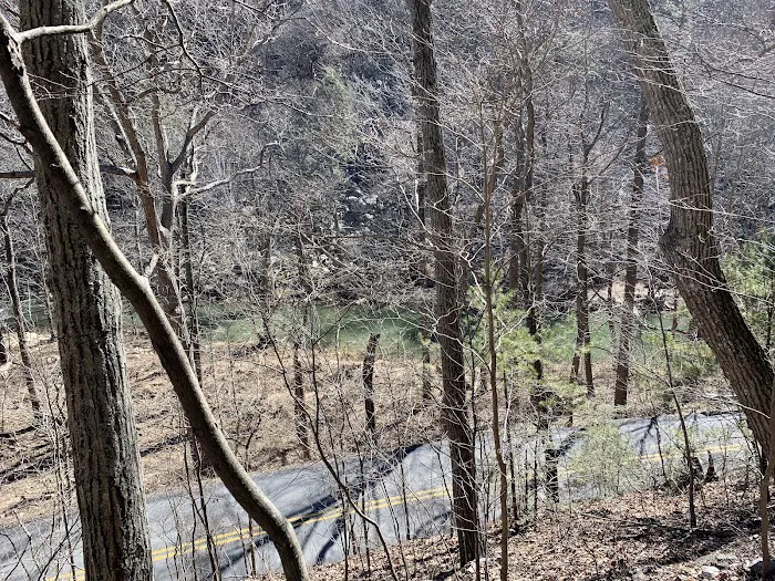 Elizabeth Furnace Recreational Area Picture 6