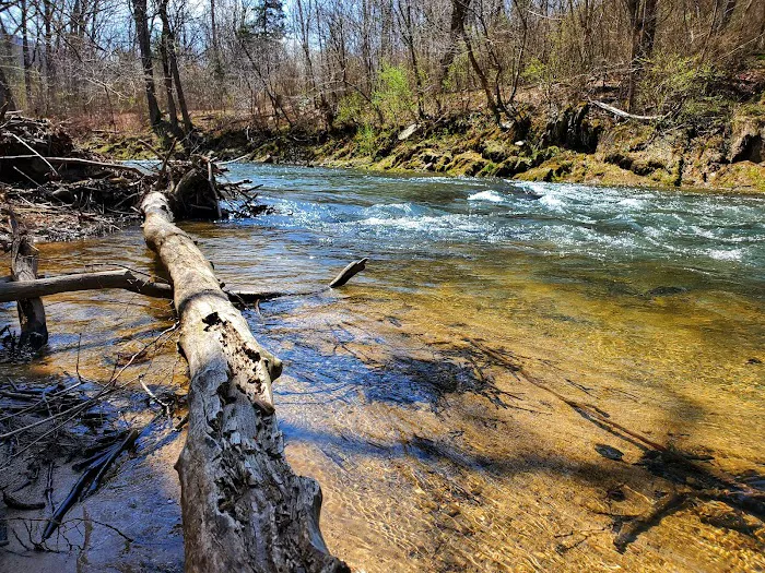 Elizabeth Furnace Recreational Area Picture 8