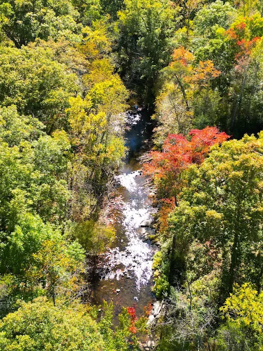 Elizabeth Furnace Recreational Area Picture 10