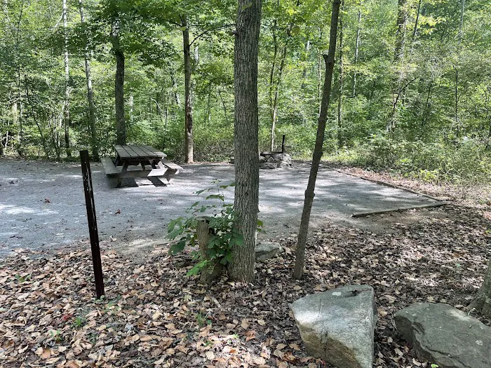 Elizabeth Furnace Recreational Area Picture 9