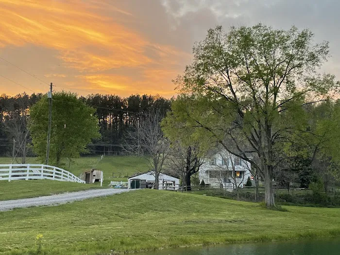 The Bluffs at Cedar Creek Picture 9