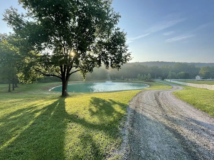 The Bluffs at Cedar Creek Picture 8