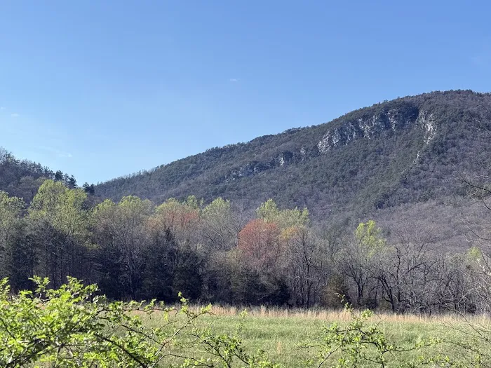 Double Spur Outfitters Picture 10