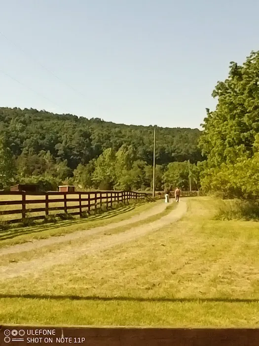 Double Spur Outfitters Picture 8