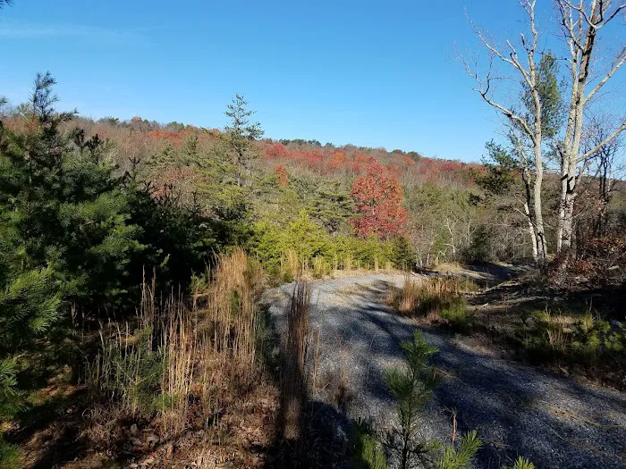 Double Spur Outfitters Picture 3