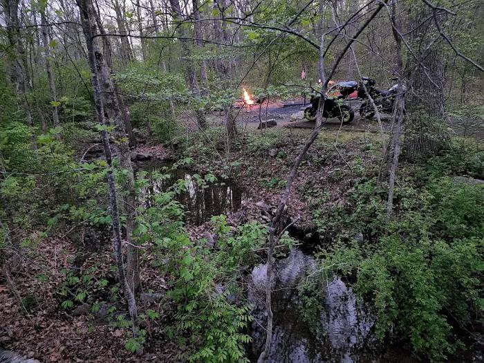 Elizabeth Furnace Family Campground Picture 1