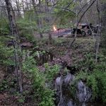 Elizabeth Furnace Family Campground