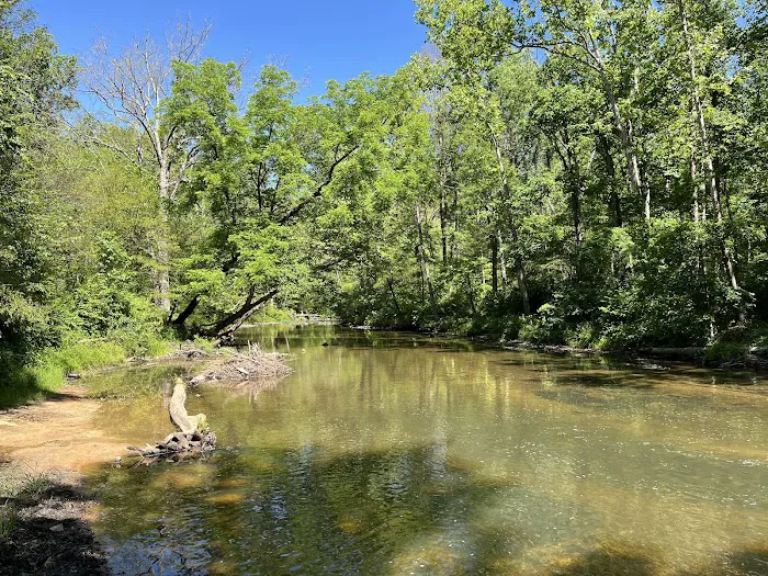 Elizabeth Furnace Family Campground Picture 8