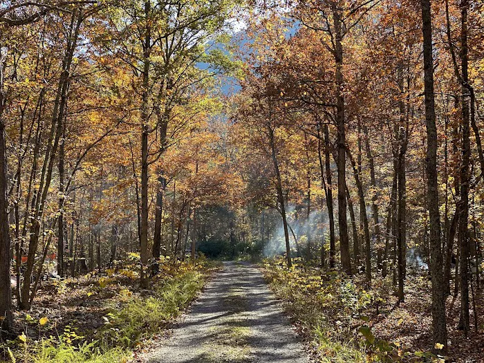 Elizabeth Furnace Family Campground Picture 5