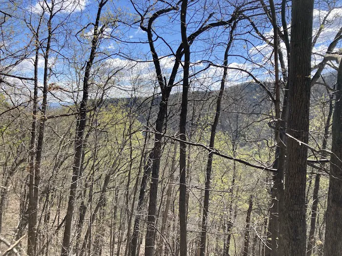 Elizabeth Furnace Family Campground Picture 7