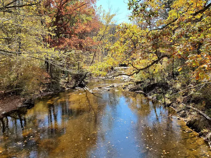 Elizabeth Furnace Family Campground Picture 9