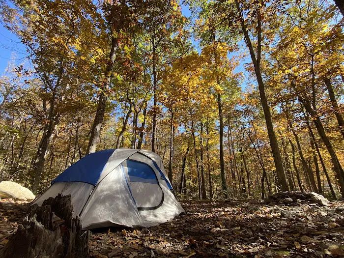 Elizabeth Furnace Family Campground Picture 6