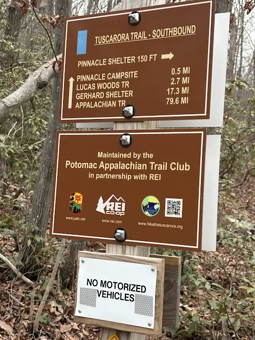 Pinnacles Shelter Picture 1