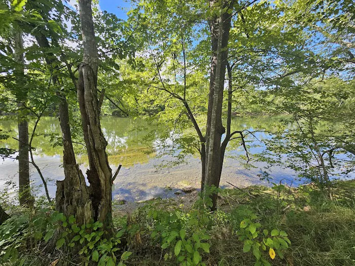 Shenandoah River State Park RV Campground Picture 9