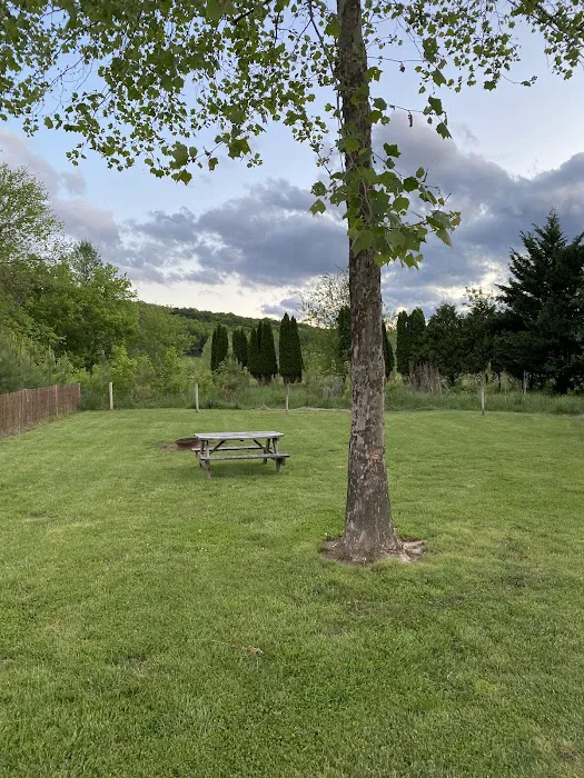 Low Water Bridge Campground Picture 6