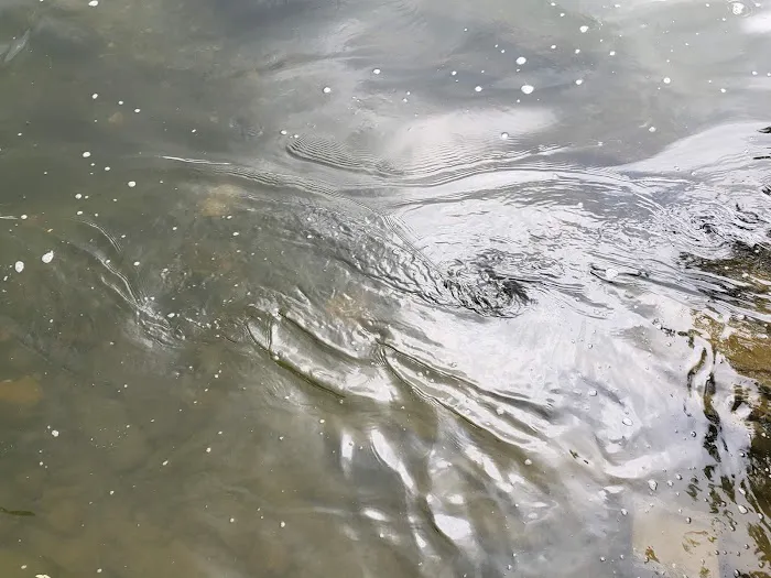 Low Water Bridge Campground Picture 5