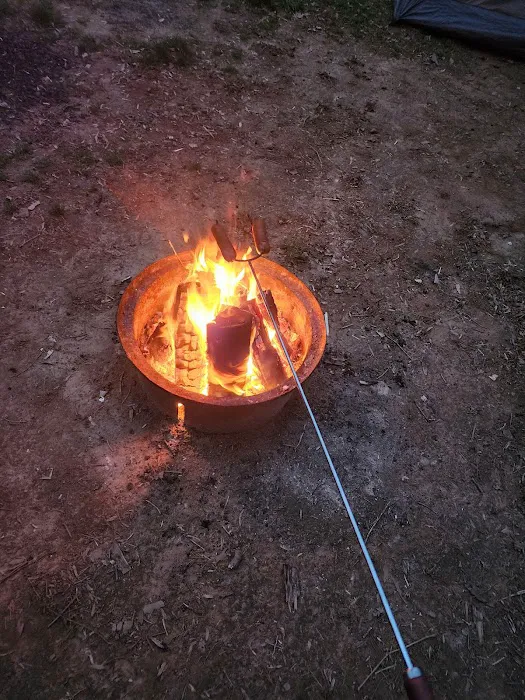 Low Water Bridge Campground Picture 3