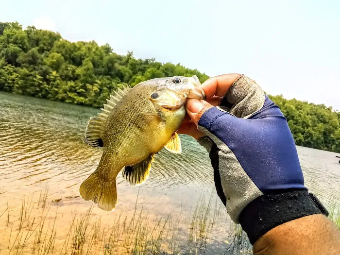 The Cove Campground Picture 7