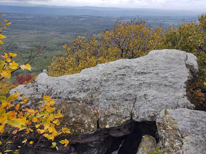 The Cove Campground Picture 9