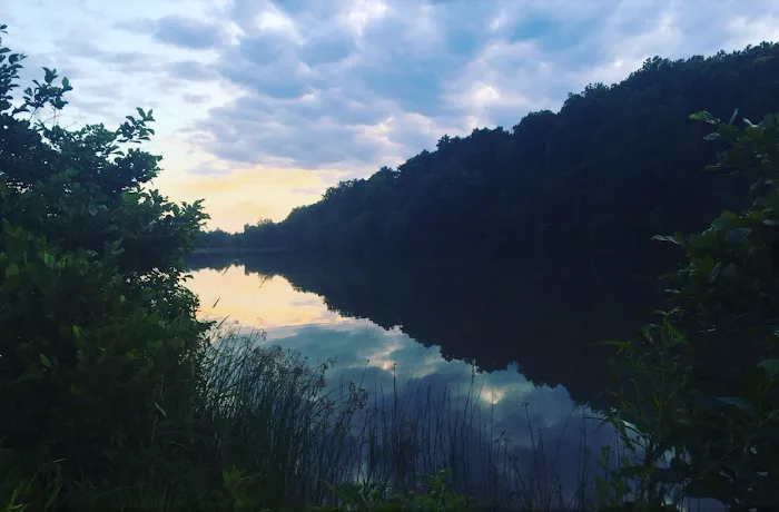 The Cove Campground Picture 10