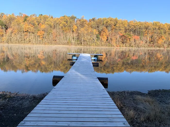 The Cove Campground Picture 2