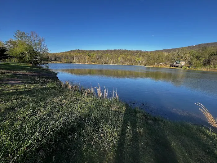 The Cove Campground Picture 1