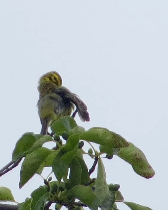 Hawk Recreation Area Picture 1