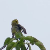 Hawk Recreation Area ico