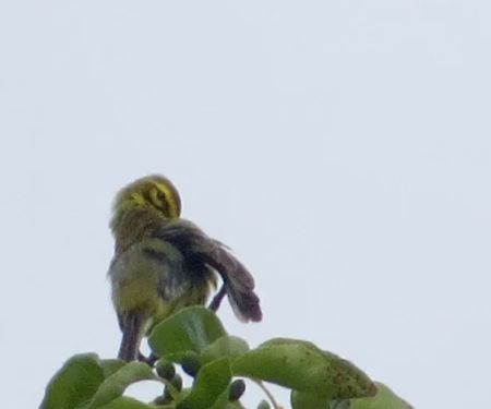 Hawk Recreation Area