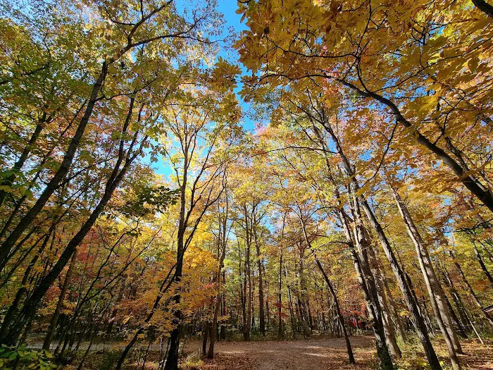 Hawk Recreation Area Picture 9