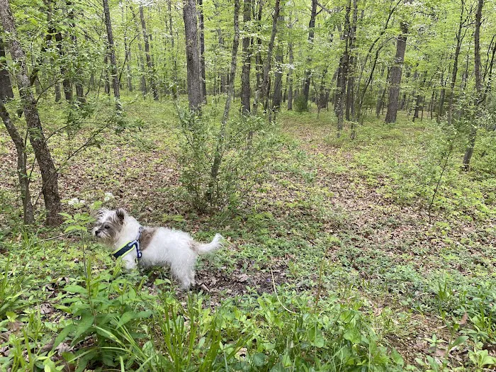 Hawk Recreation Area Picture 4