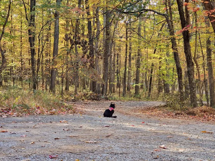 Hawk Recreation Area Picture 8