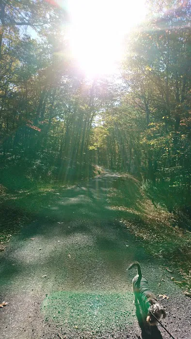 Hawk Recreation Area Picture 2