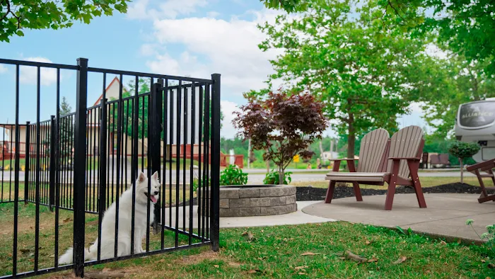 Niagara Falls / Grand Island KOA Holiday Picture 10